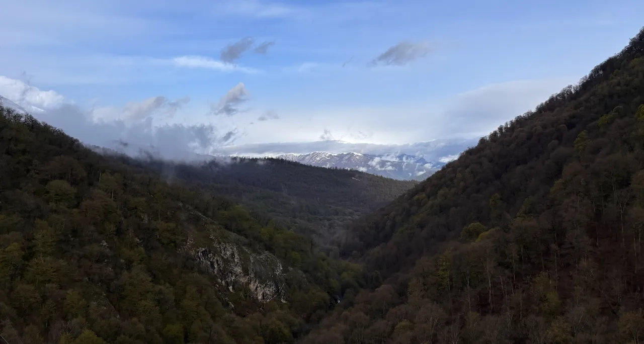 Dilijan National Park